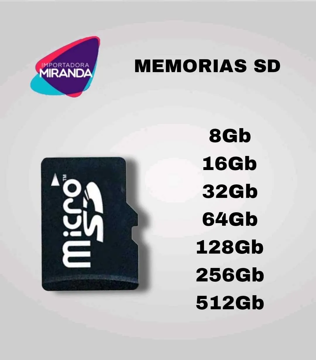 MEMORIAS MICRO SD