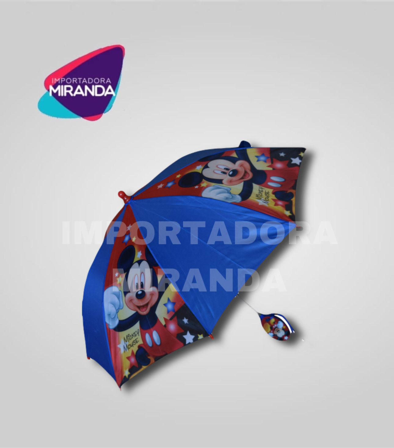 PARAGUA SIMPLE 4 DISEÑOS