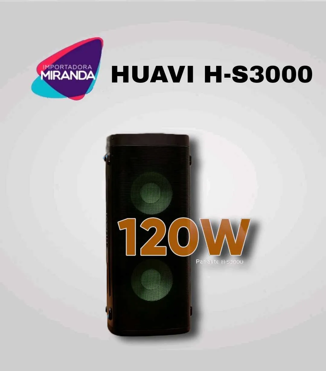 PARLANTE HUAVI H-S3000