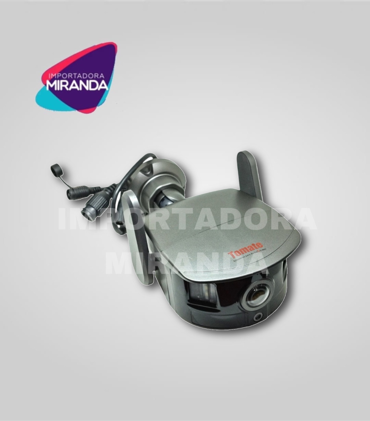 CAMARA DE SEGURIDAD TOMATE 2083W