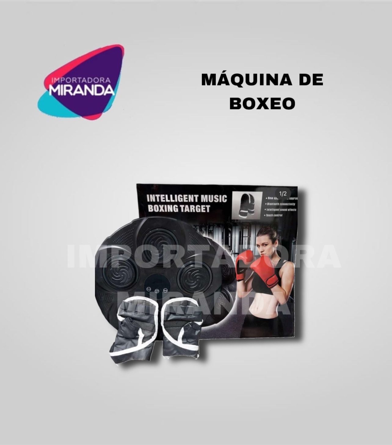 Maquina de Boxeo H