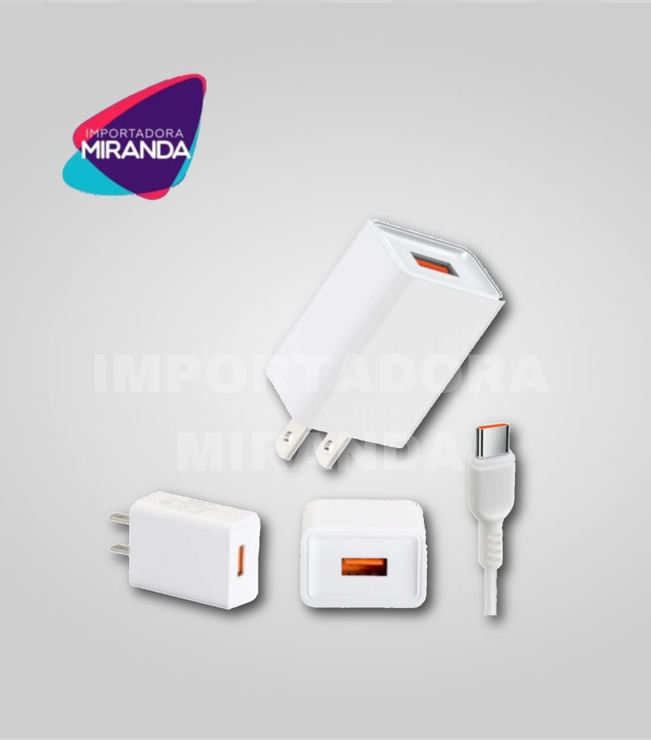 CARGADOR BOSSNEYE601C