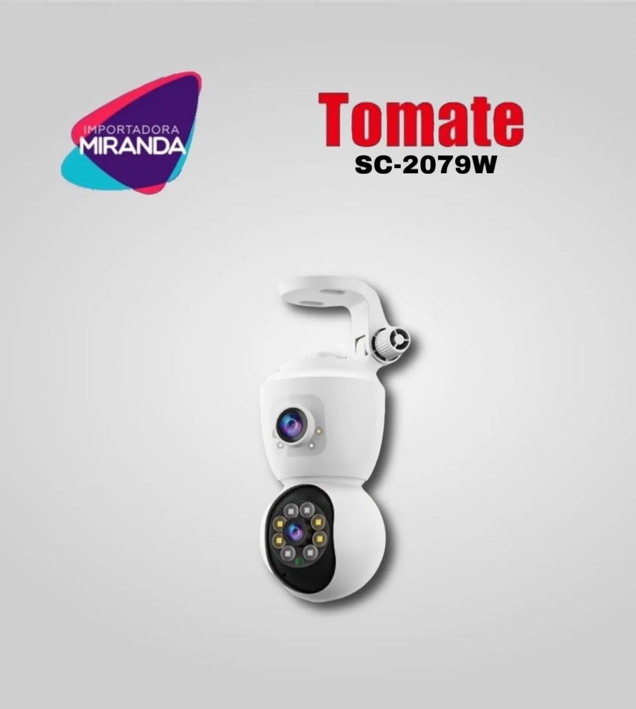 Camara de seguridad Tomate 2079