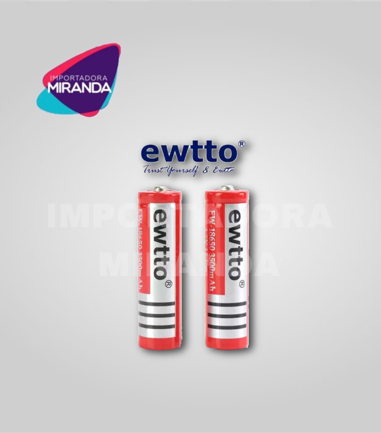 PILAS CARGABLE EWTTO EW18650